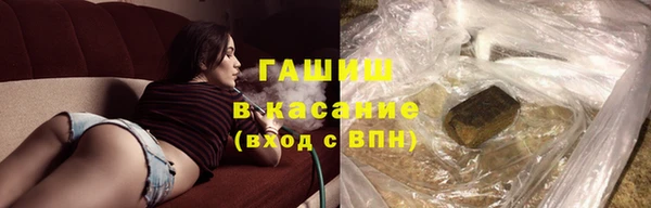 индика Белокуриха