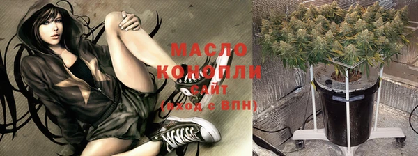 индика Белокуриха