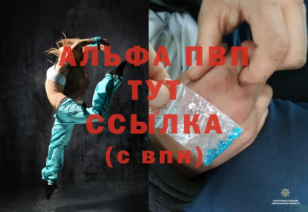 индика Белокуриха