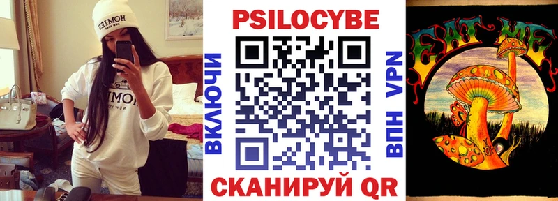 Псилоцибиновые грибы мицелий  Губкинский 